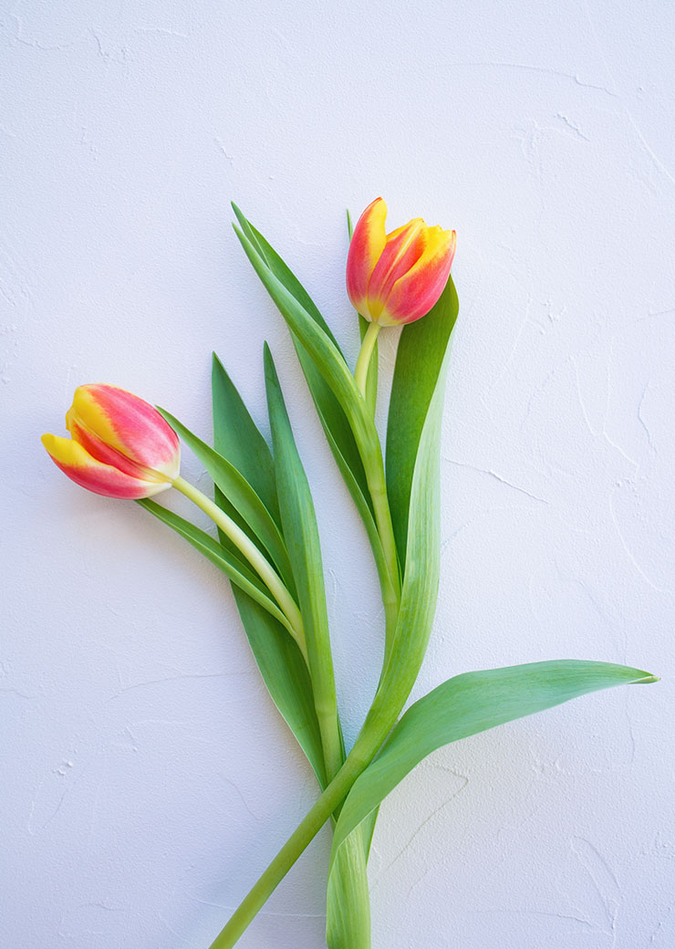 trc_lifestyle-grid_09