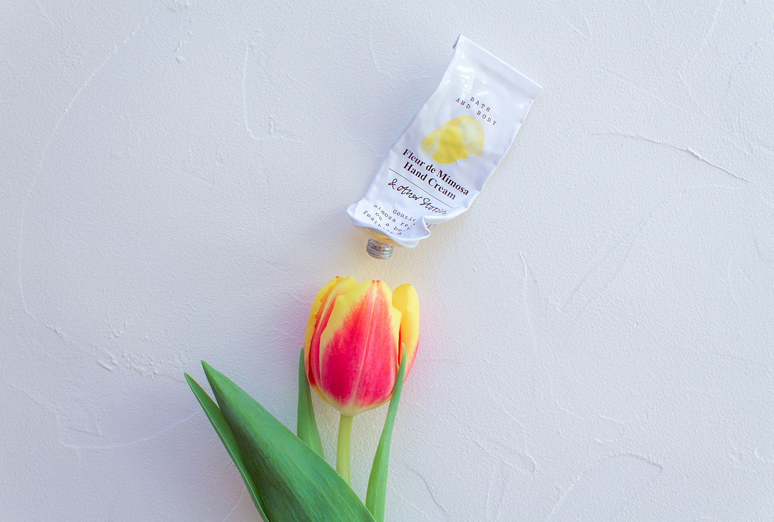 trc_still-life-tulip-01