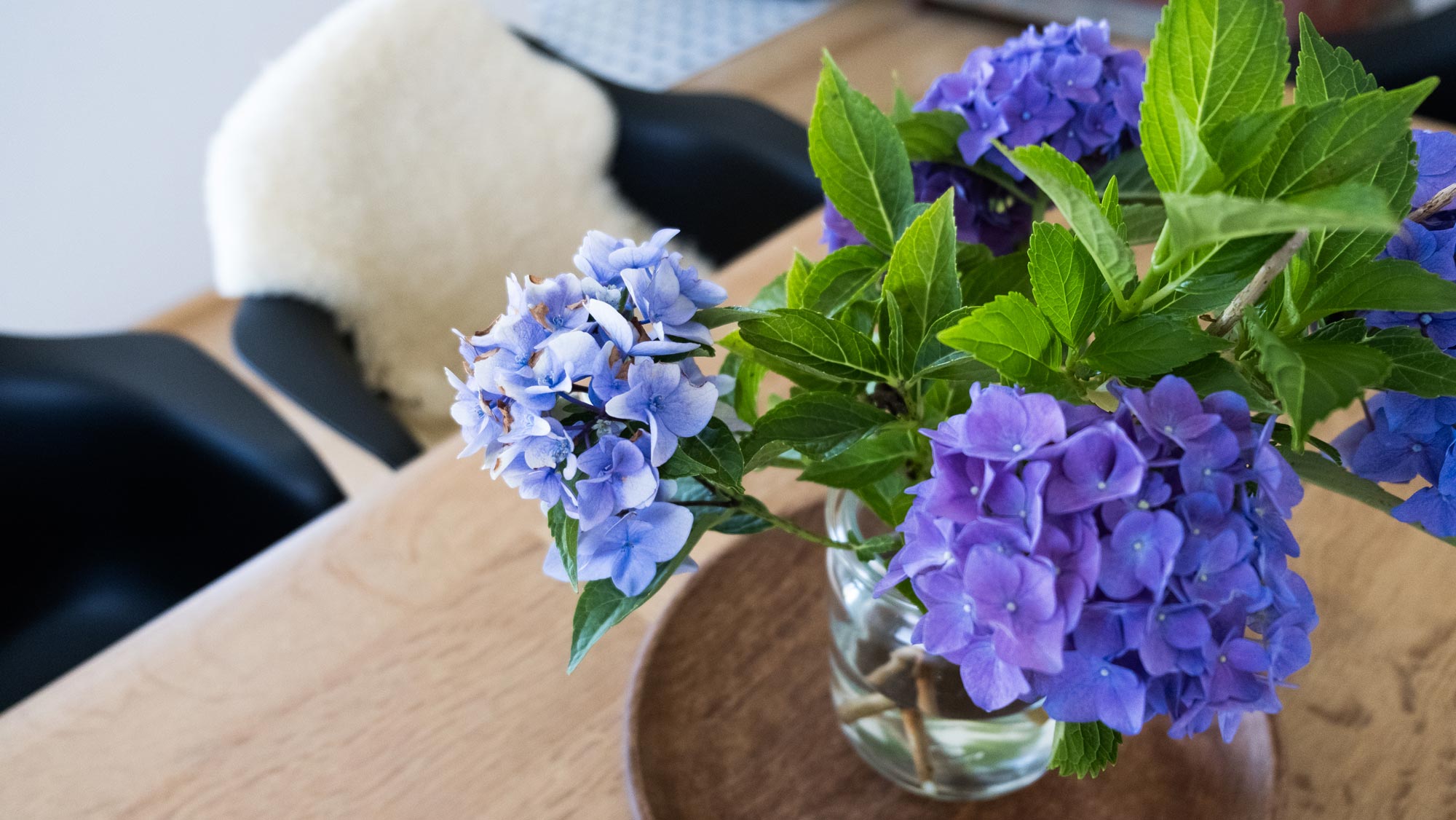 kh_maika-photo_landscape_01