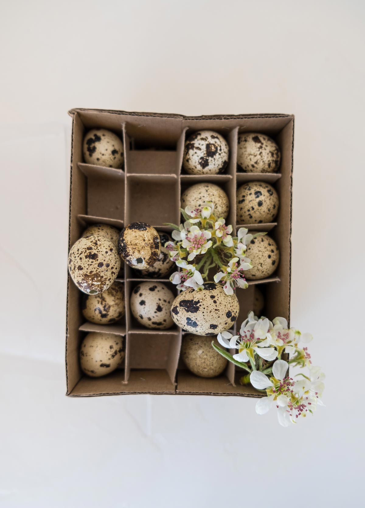 kh_easter-01