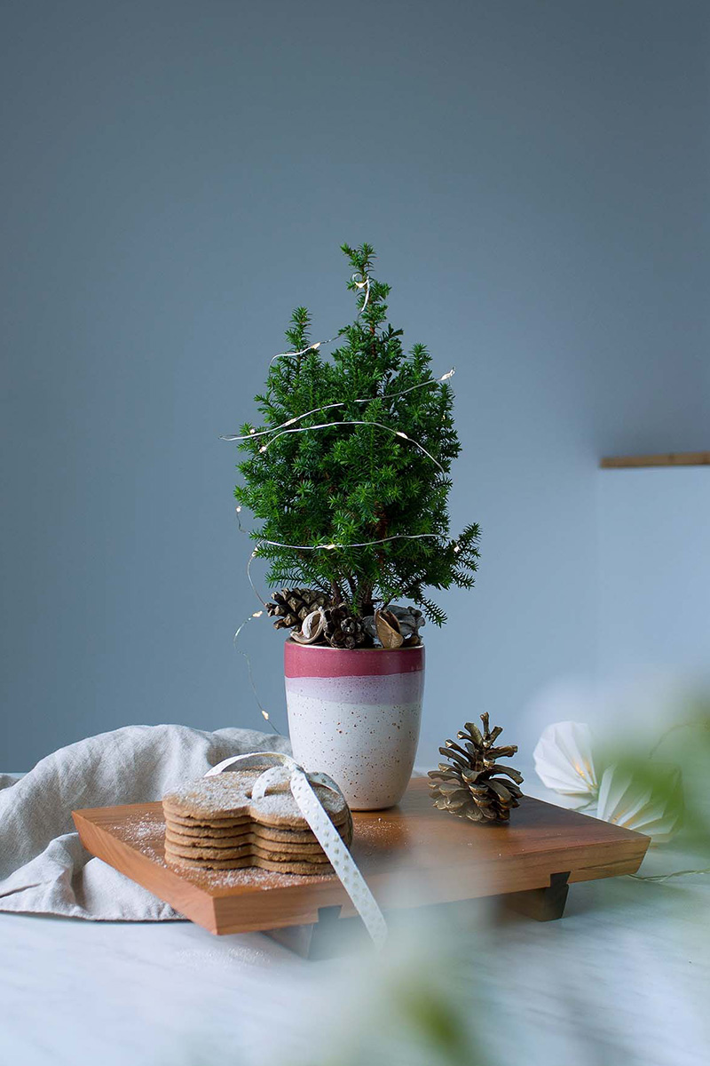 kh_fotografie-seasonal_01